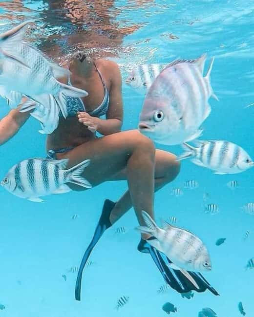 Zanzibar: Snorkeling at blue lagoon & Star fish tour