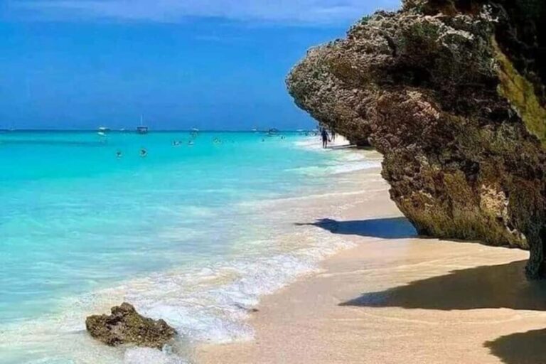 Zanzibar: South Coast Beach Day Trip with Salaam Cave Visit - Overview of the Experience