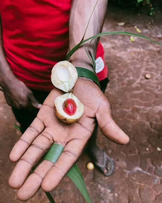 Zanzibar: Spice Farm Tour with Lunch - An In-Depth Look at the Zanzibar Spice Farm Tour