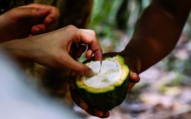 Zanzibar: Spice Farm with Local Guide and Tasting Delights - Exploring Zanzibars Spice Farm Experience