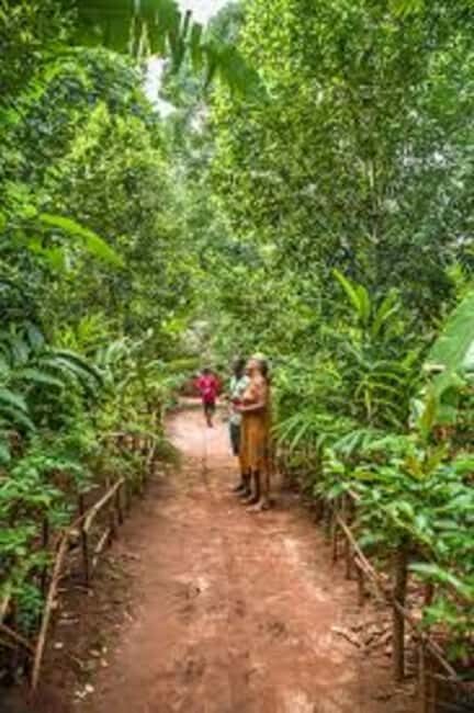 Zanzibar Spice Farms, Prison Island & Stone Town Tour - The Practicalities