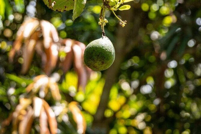Zanzibar Spice tour - Final Thoughts