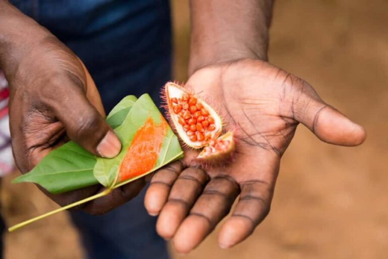 Zanzibar Spice Tour &Cooking Class with Lunch Pickup Include - Who Will Love this Tour?