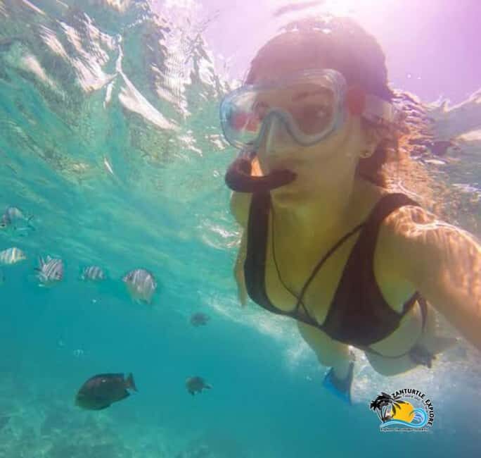 Zanzibar: Starfish Beach, Blue Lagoon, and The Rock Tour - Itinerary Breakdown: What You Can Expect