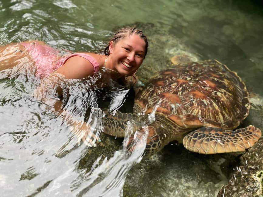Zanzibar: Stone Town, Burterfly Center and Sea Turtles Tour - Who Will Love This Tour?
