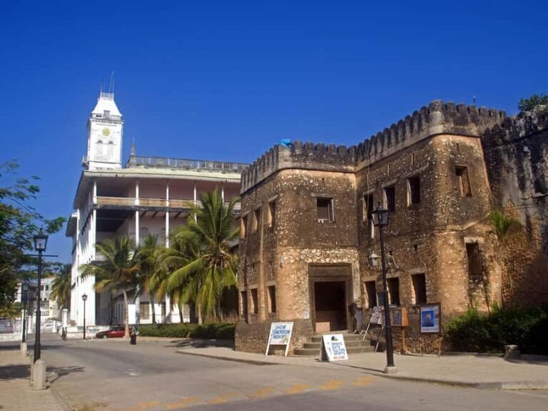Zanzibar: Stone Town Heritage Walking Tour - Who Should Consider This Tour?