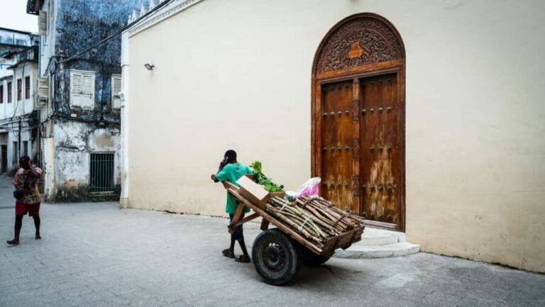 Zanzibar: Stone Town Historical Cultural Walking Guided Tour - A Detailed Look at the Tour