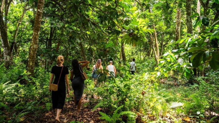 Zanzibar: Stone Town, History and Jozani Forest Guided Tour - FAQs