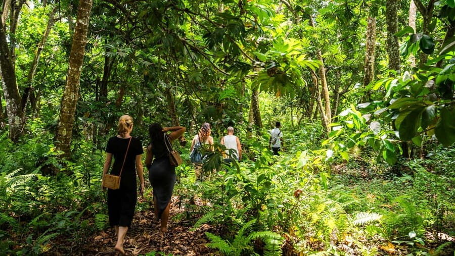 Zanzibar: Stone Town, History and Jozani Forest Guided Tour - FAQs