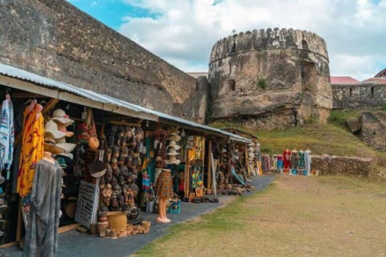 Zanzibar: Stone town, Jozani forest and sweaming with turtle - Who Should Consider This Tour?