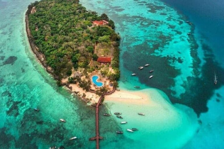 ZANZIBAR: Stone Town, Prison Island, and Jozani Forest Tour - Analyzing the Value