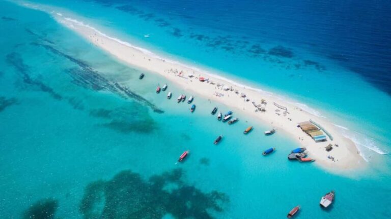 Zanzibar: Stone Town & Prison Island, Nakupenda, Spice Tour - What Makes This Tour Valuable?