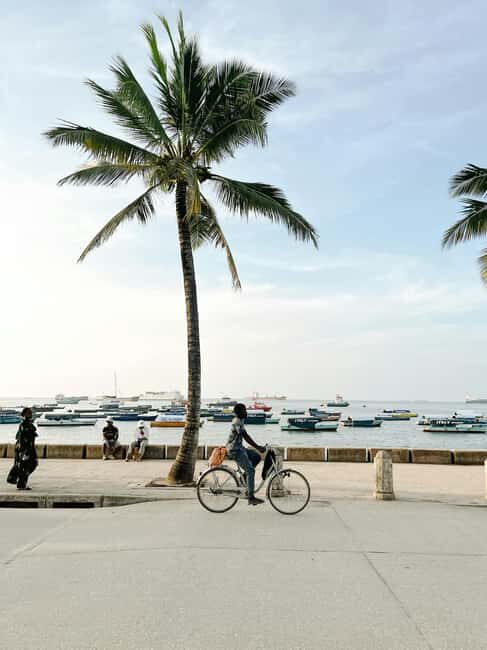 Zanzibar: Stone Town & Prison Island Tour With Tortoises - The Sum Up: Who Should Consider This Tour?