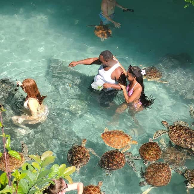 Zanzibar: Stone Town, Salam Cave, and The rock tourTour - Who Will Love This Tour?