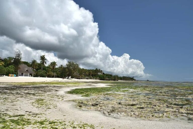 Zanzibar - Stone town tour & Nakupenda Beach tour - What Makes This Tour Special