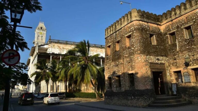 Zanzibar: Stone Town Visit & Kayak Tour in Mangrove Forest - Final Thoughts