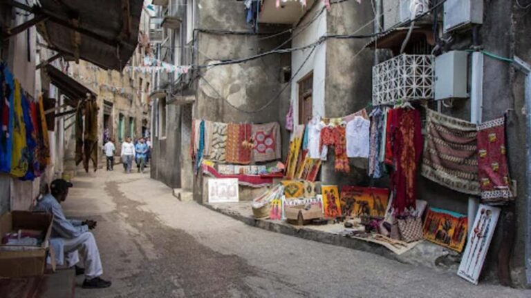 Zanzibar: Stone Town Walking Tour & Spice Farm with Lunch - The Practical Side: What’s Included and What to Consider