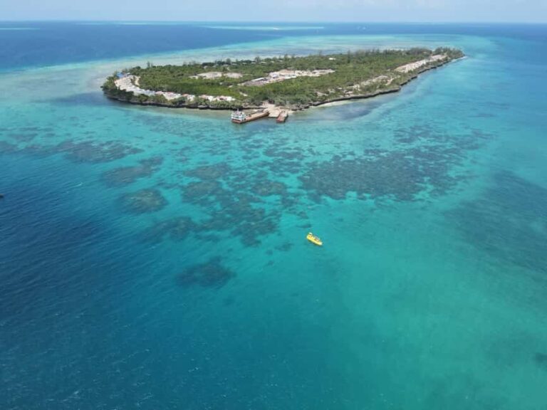Zanzibar Sunset Cruise Submarine sea experience Tour - FAQs