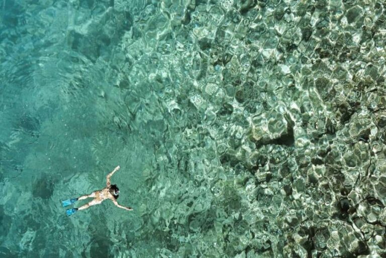 Zanzibar : Swim with dolphin + Snorkel mnemba coral Reef - The Sum Up