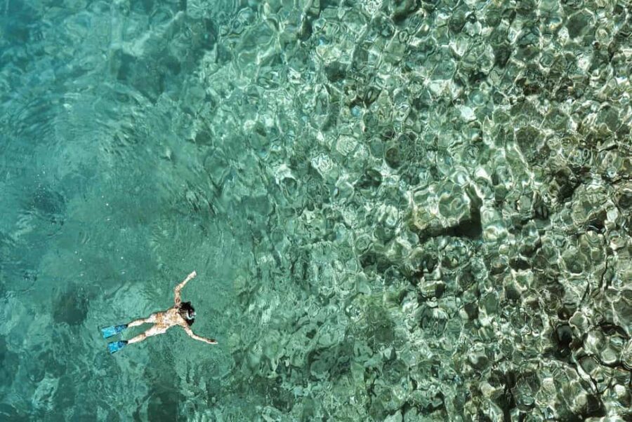 Zanzibar : Swim with dolphin + Snorkel mnemba coral Reef - The Sum Up