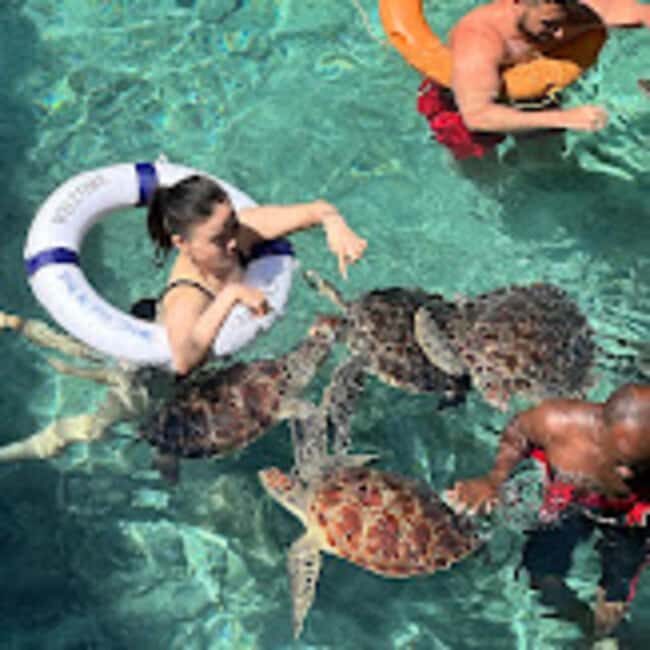 ZANZIBAR : Swimming with sea turtle at kizimkazi - Authentic Experiences and Genuine Conservation