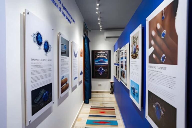 Zanzibar: Tanzanite Museum and Jewelry Shop Entry Ticket - What to Expect on Your Visit
