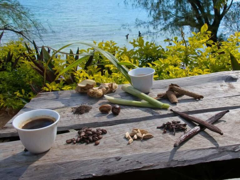 Zanzibar: The Swahili Spice Experience - Spice Tour + Culinary Journey - The Value of This Experience
