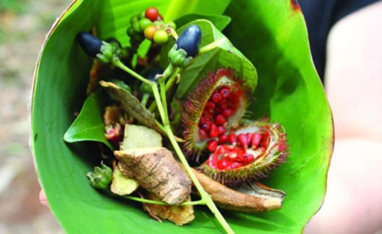 Zanzibar: The Ultimate Spice Farm Experience - An In-Depth Look at the Experience
