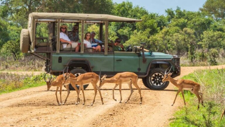 Zanzibar to Mikumi Ultimate Day Trip Safari Adventure - The Itinerary: From Zanzibar Shores to the Wilderness of Mikumi