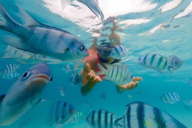 Zanzibar: Tumbatu Island Snorkeling Excursion from Nungwi - The Value of the Experience