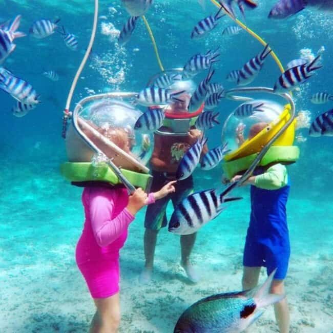 Zanzibar: Underwater Sea Walk with Helmet - Final Thoughts: Is This the Marine Experience for You?