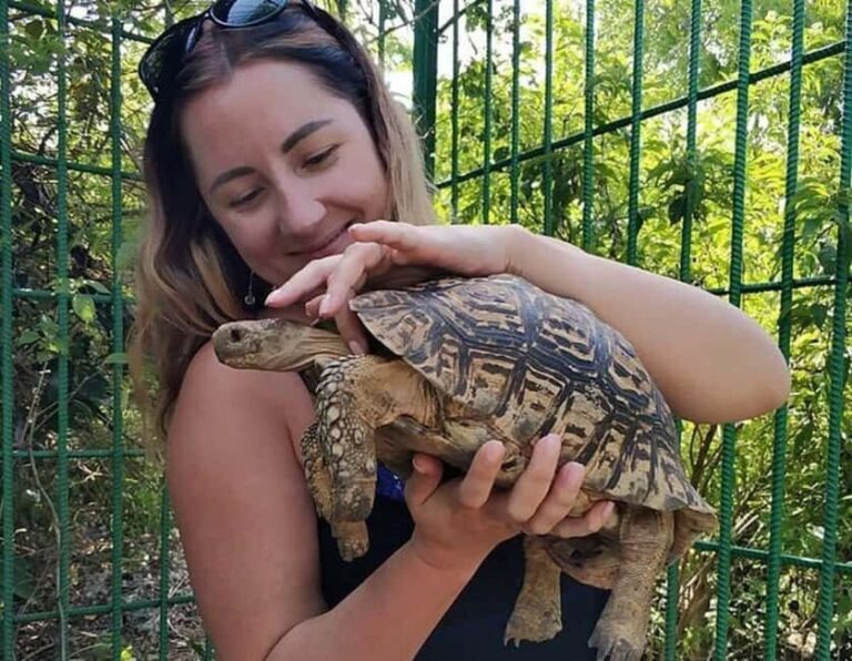 Zanzibar: Wildlife Zoo Kilosa and Baraka Natural Aquarium - The Itinerary Breakdown