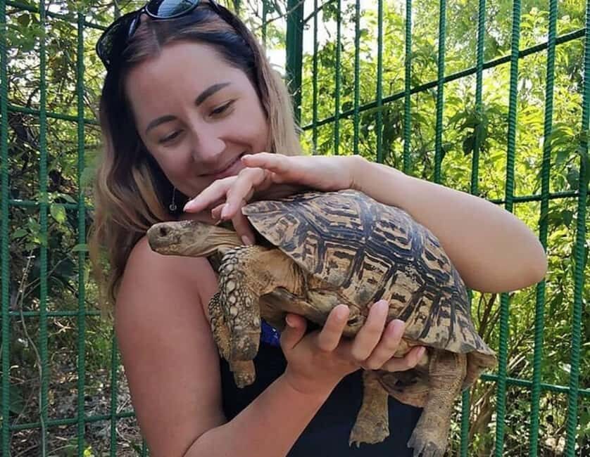 Zanzibar: Wildlife Zoo Kilosa and Baraka Natural Aquarium - The Itinerary Breakdown