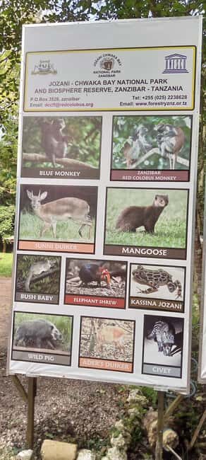 ZANZIBAR:Jozani forest,mtende beach and the rock restaurant - The Rock Restaurant: An Iconic Photo Spot
