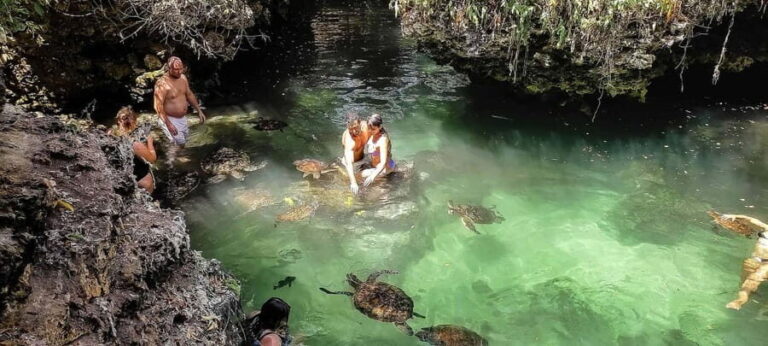 ZANZIBAR:Jozani forest,Visit Sea turtles Sanctuary+the rock - Practical Details and Tips