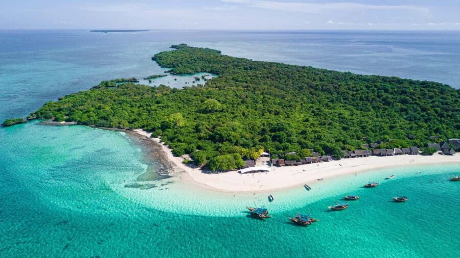 ZANZIBAR:Luxuary Blue Safari with private boat and BBQ lunch - Snorkeling and Marine Life