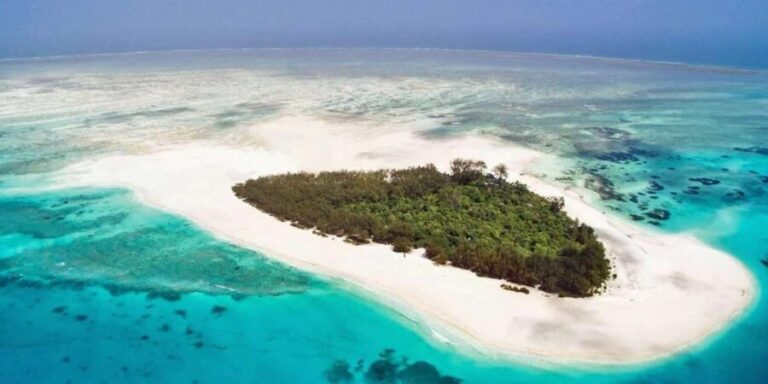 ZANZIBAR:Mnemba island and Jozani fores with sea food lunch - What to Keep in Mind