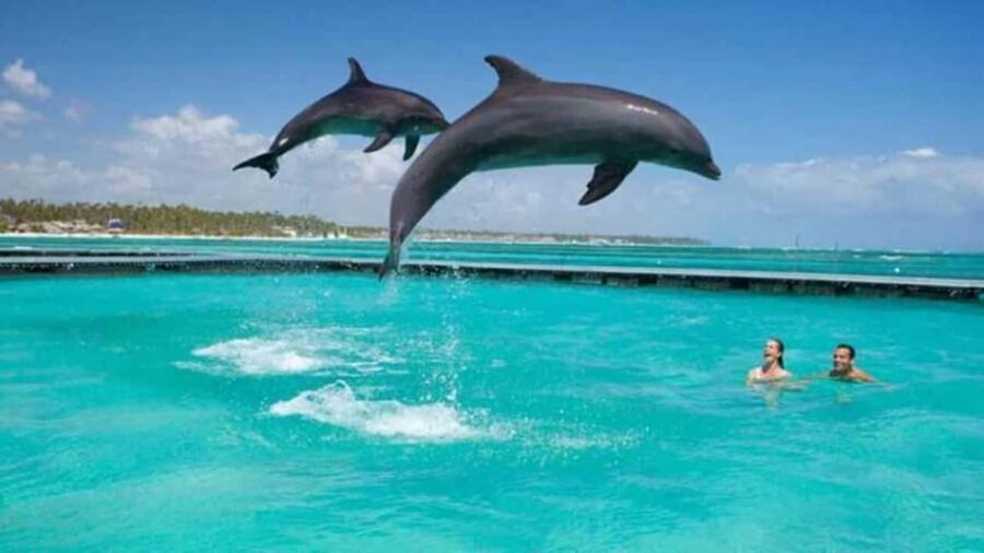 ZANZIBAR:Mnemba island, Baraka aquarium and Kendwa beach