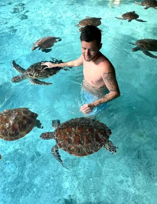 ZANZIBAR:Mnemba island,Spice farm and Sea turtles Sanctuary - What Makes This Tour Stand Out