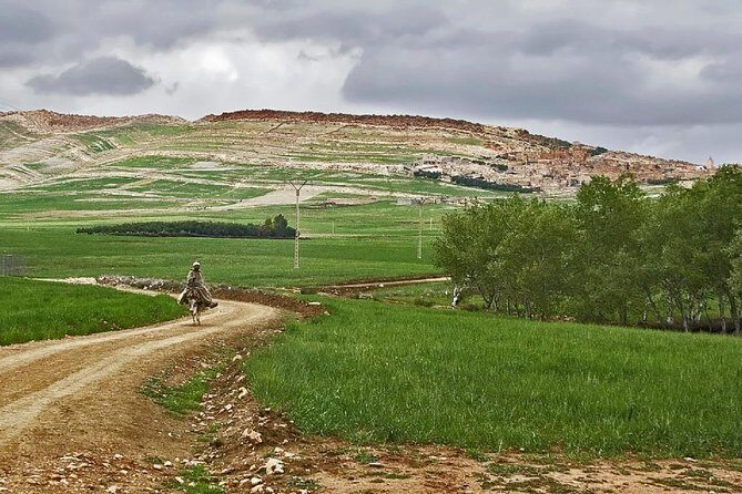 Zat Valley and Atlas Mountains Private Day Trip from Marrakech - Practical Details and What They Mean for Travelers