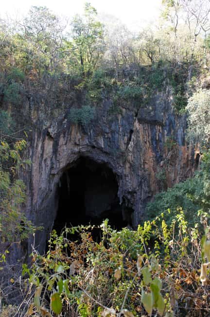 Zimbabwe: Chinhoyi Caves Tour with Lion Viewing and Lunch - Wildlife Encounters with Lions