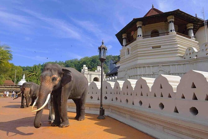 04 Days Tour - Sigiriya , Kandy and Nuwara Eliya - The Itinerary Breakdown: What You’ll Actually Experience