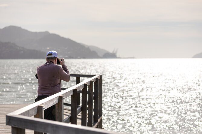 1/2-day Christchurch Scenic Highlights (Shore Excursion) - What’s Included and What’s Not