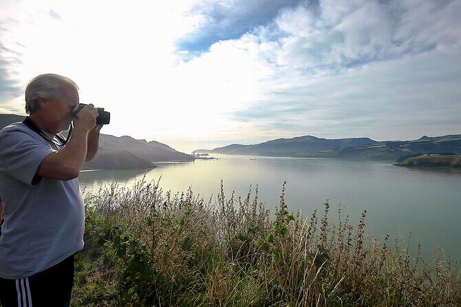 1/2-day Christchurch Scenic Highlights (Small Group Tour) - Who Should Consider This Tour?