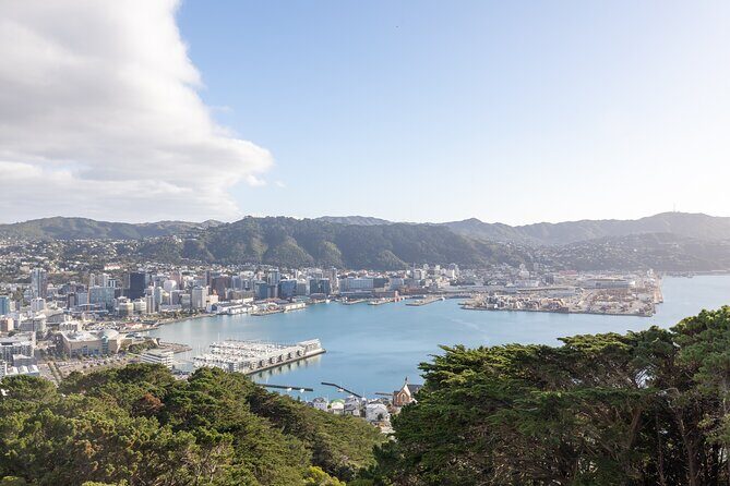 1/2 Day Guided Wellington Tour incl. Cable Car (Vans not buses) - The Value of This Tour