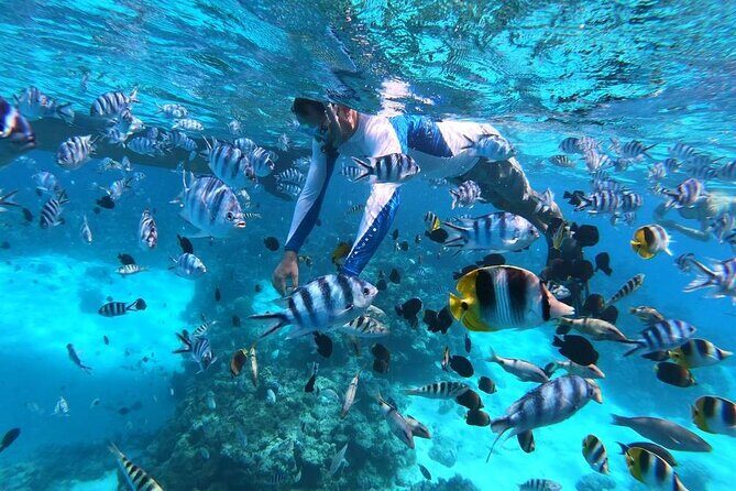 1/2 day Tahaa coral garden - departure Raiatea / ideal for cruise passengers - The Itinerary: From Lagoon to Lagoon