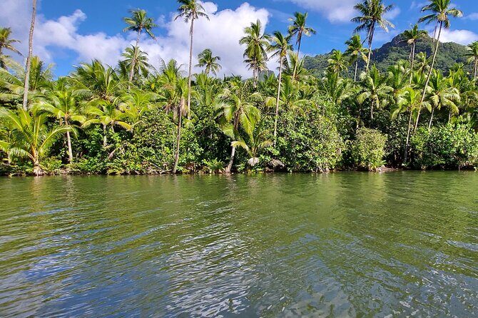 1/2 day "Treasures of Raiatea" by boat - ideal for cruise passengers - Practical Tips for Future Travelers