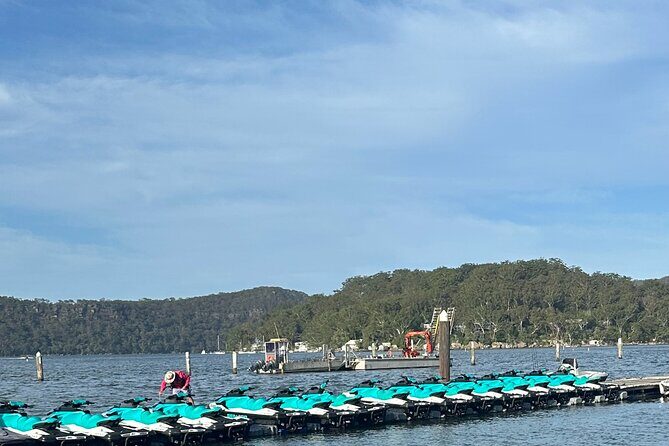 1.5 Hr Jet Ski Safari - Authentic Feedback from Participants