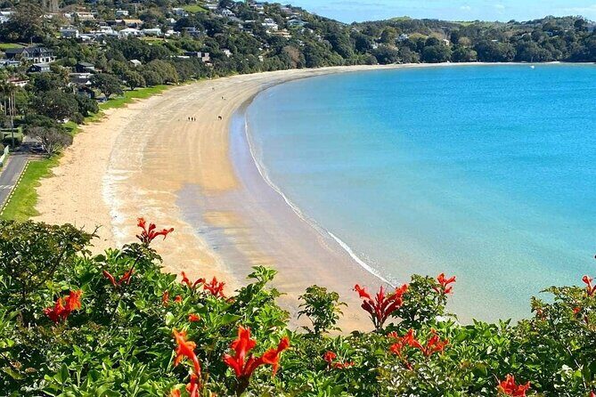 1.5h Waiheke Guided Scenic Tour in our Electric Van - Who Should Consider This Tour?