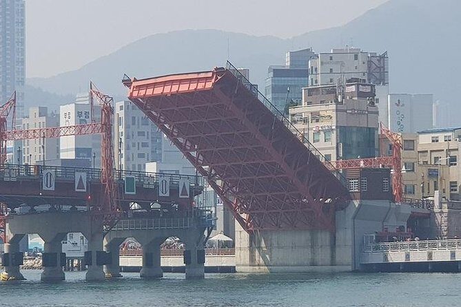 1-DAY Busan and INCLUDED night tour - What Travelers Love and Note